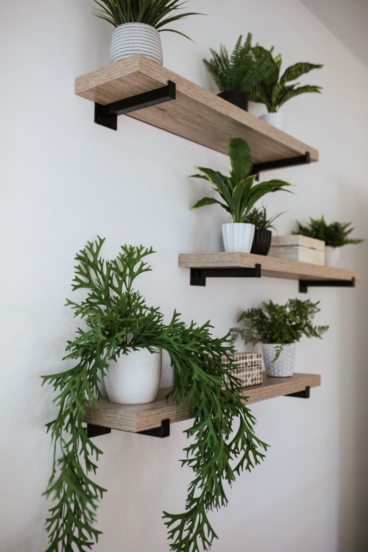 Wall Shelves